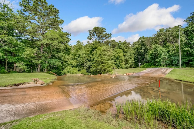 507 Big Stump Mountain Trl, Jasper, GA 30143 - water view with a forest
