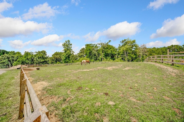507 Big Stump Mountain Trl, Jasper, GA 30143 - view of yard featuring a view of rural / pastoral area