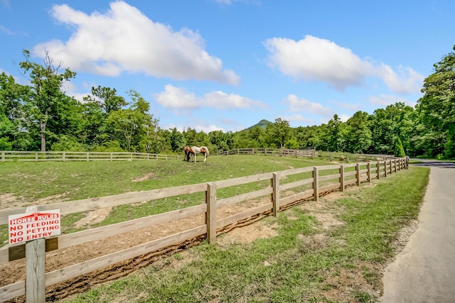 507 Big Stump Mountain Trl, Jasper, GA 30143 - view of yard featuring a view of countryside and a forest view