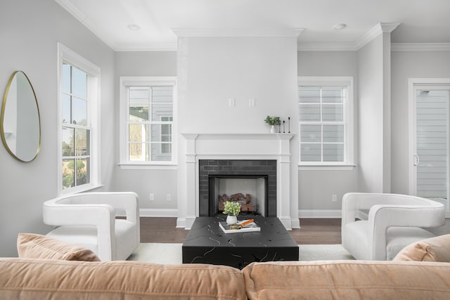 147 Honeycomb Ln, Chattanooga, TN 37421 - living area featuring wood finished floors, ornamental molding, and a fireplace