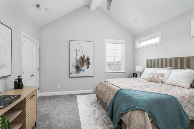147 Honeycomb Ln, Chattanooga, TN 37421 - bedroom with lofted ceiling and carpet flooring