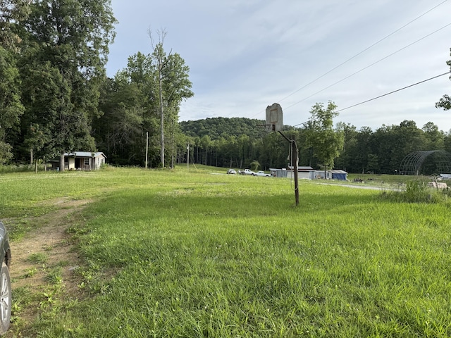 87 Taylor Rd, Pikeville, TN 37367 - photo 2