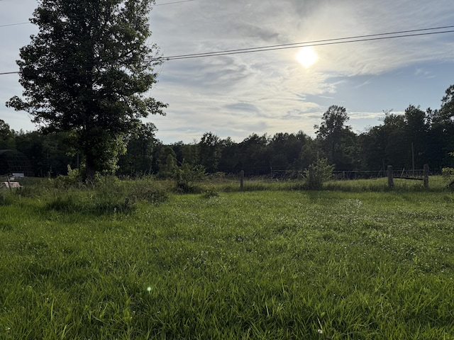87 Taylor Rd, Pikeville, TN 37367 - photo 3