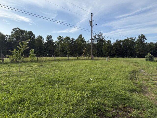 87 Taylor Rd, Pikeville, TN 37367 - photo 4