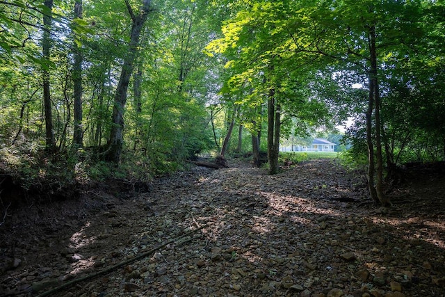 316 Old Hales Gap Rd, Trenton, GA 30752 - view of nature