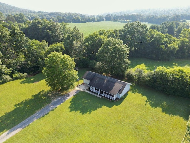 316 Old Hales Gap Rd, Trenton, GA 30752 - view of subject property featuring a heavily wooded area