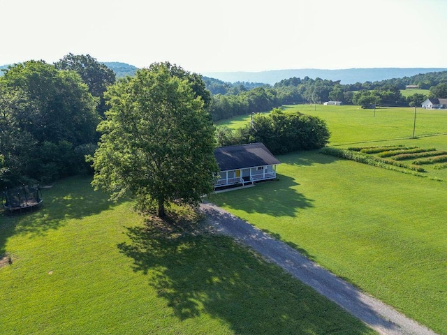 316 Old Hales Gap Rd, Trenton, GA 30752 - overview of rural landscape