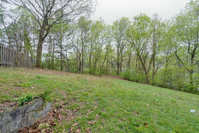 3706 Altamira Dr, Chattanooga, TN 37412 - view of yard