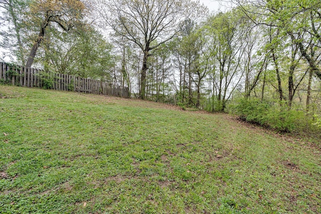 3706 Altamira Dr, Chattanooga, TN 37412 - view of yard