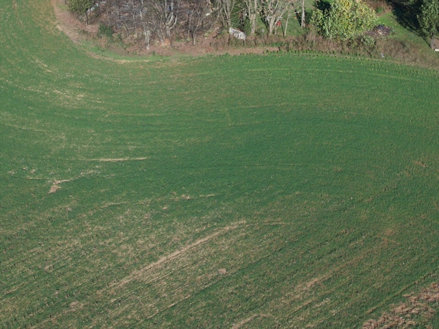 0 Yellow Branch Rd, Decherd, TN 37324