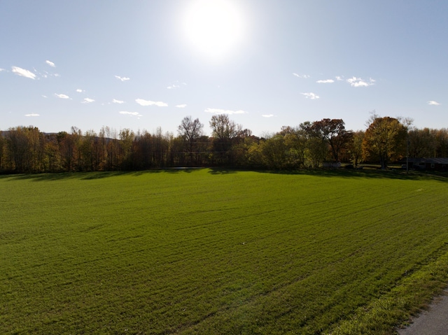 0 Yellow Branch Rd, Decherd, TN 37324