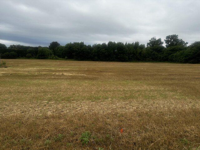 0 Yellow Branch Rd, Decherd, TN 37324