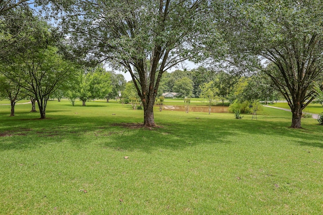 176 Ola Dr, Cohutta, GA 30710 - view of grassy yard