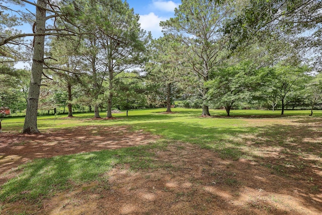 176 Ola Dr, Cohutta, GA 30710 - view of grassy yard