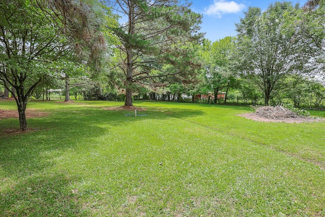 176 Ola Dr, Cohutta, GA 30710 - view of grassy yard