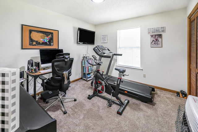 176 Ola Dr, Cohutta, GA 30710 - exercise area featuring carpet and a textured ceiling