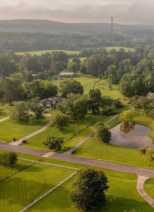176 Ola Dr, Cohutta, GA 30710 - drone / aerial view of a large body of water