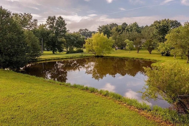 176 Ola Dr, Cohutta, GA 30710 - water view
