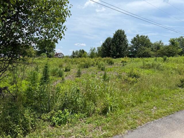 0 Norwood Rd Lot 4, Pikeville, TN 37367