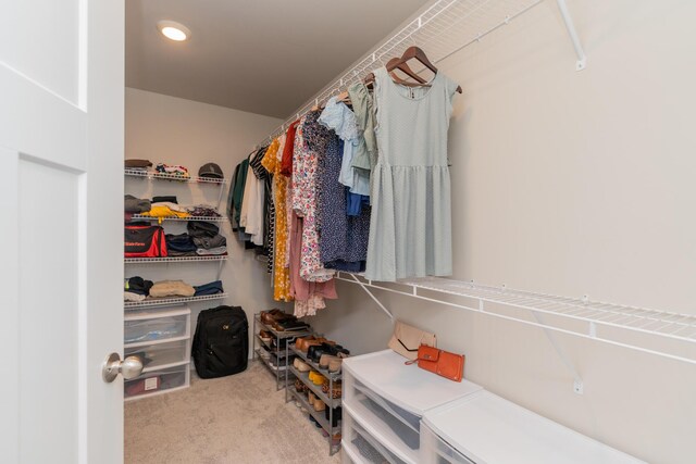 3328 Prairie Range Ln, Apison, TN 37302 - walk in closet featuring carpet floors
