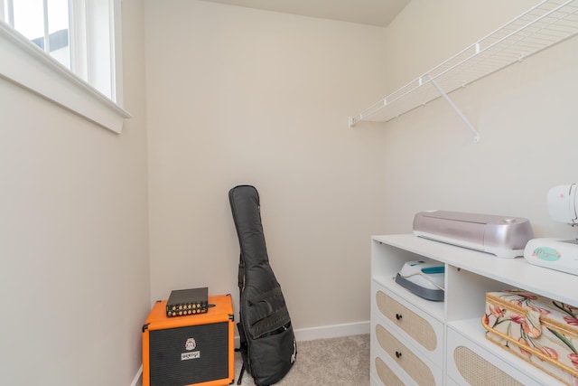 3328 Prairie Range Ln, Apison, TN 37302 - view of storage room