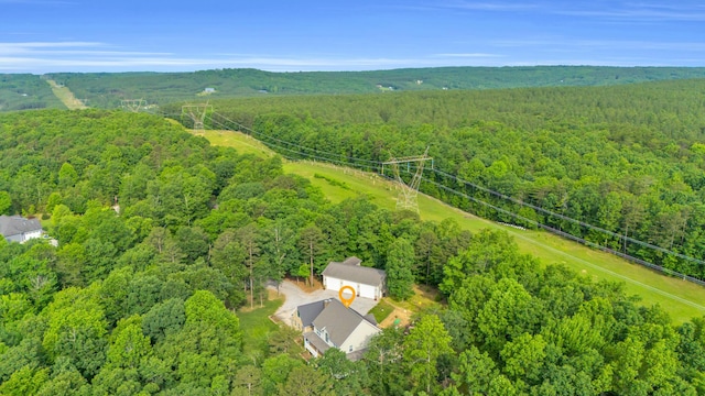 361 Pine Ridge Dr, Signal Mountain, TN 37377 - photo 10