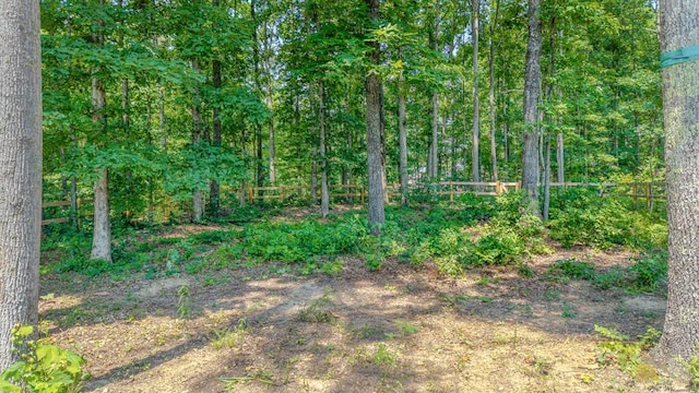 7596 Grasshopper Rd, Georgetown, TN 37336 - view of wooded area
