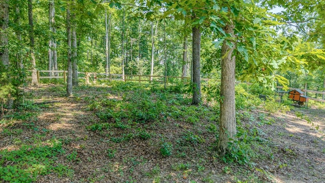 7596 Grasshopper Rd, Georgetown, TN 37336 - view of tree filled area