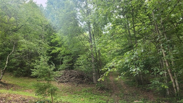 47 Blue Berry Dr, Pikeville, TN 37367 - photo 4