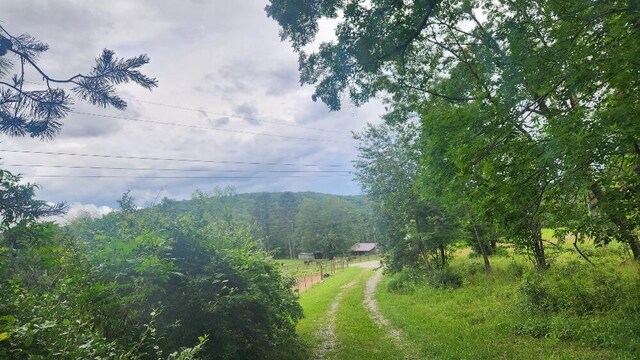 47 Blue Berry Dr, Pikeville, TN 37367 - photo 2