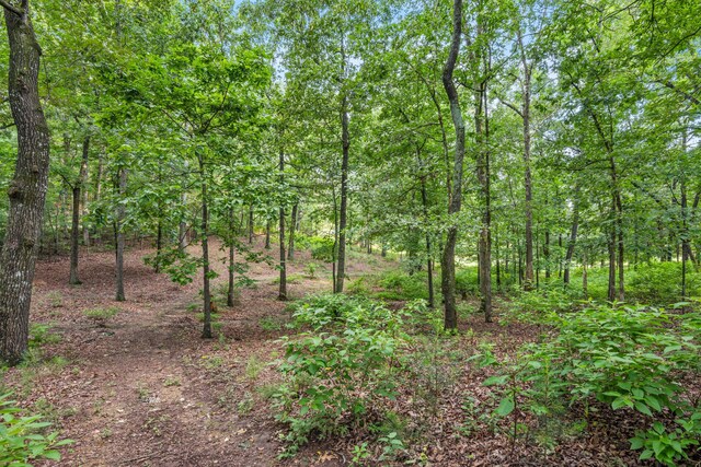 684 Mcconnell Xing, Lafayette, GA 30728 - view of woods