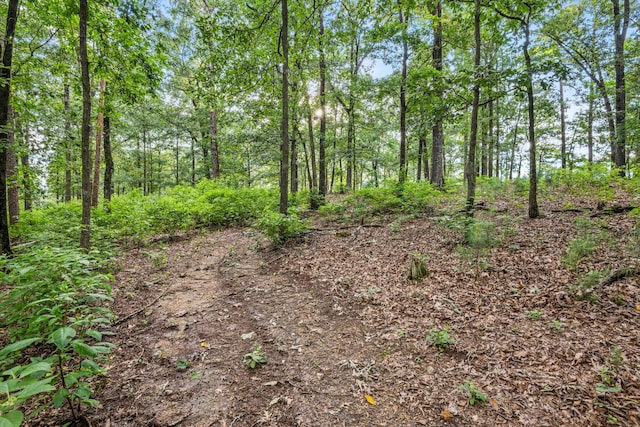 684 Mcconnell Xing, Lafayette, GA 30728 - view of tree filled area