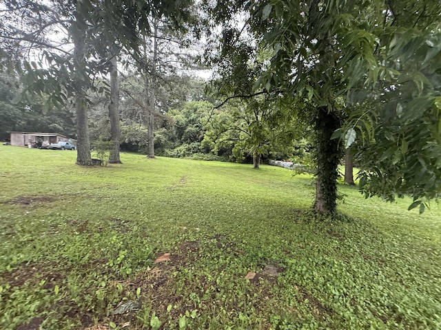 0 Diamond Ave, Bridgeport, AL 35740 - photo 2