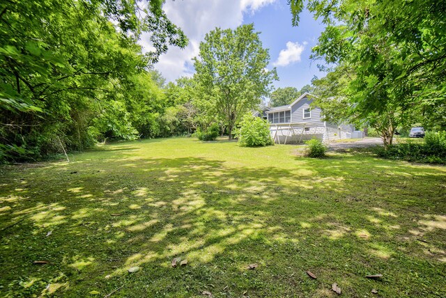 1728 John Ross Rd, Chattanooga, TN 37412 - view of green lawn