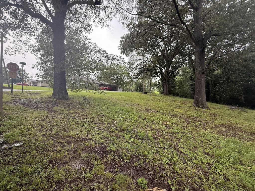 0 8th St, Bridgeport, AL 35740 - photo 2