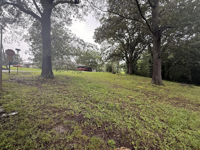 0 8th St, Bridgeport, AL 35740 - photo 2