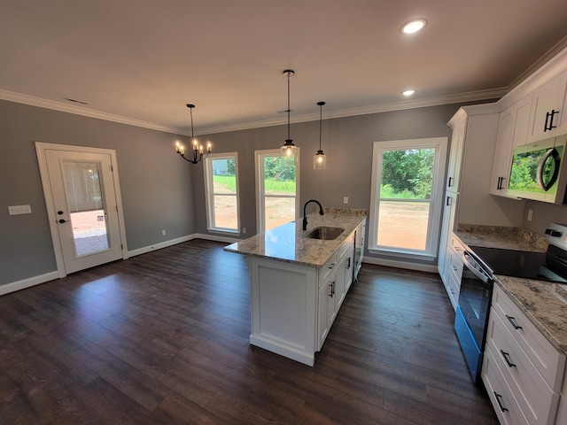 202 Cheshire Crossing Dr, Rock Spring, GA 30739 - kitchen featuring appliances with stainless steel finishes, a chandelier, white cabinets, plenty of natural light, and crown molding