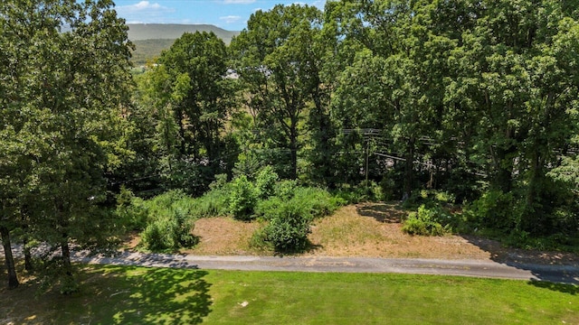 100 Anderson Ridge Rd, Jasper, TN 37347 - view of green lawn