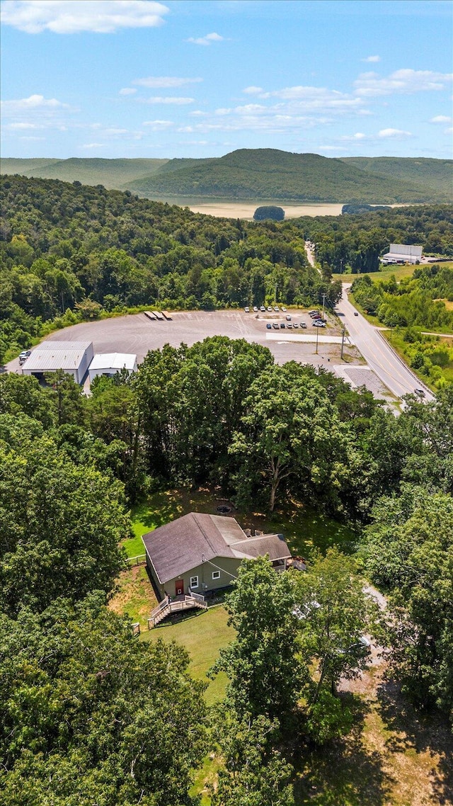100 Anderson Ridge Rd, Jasper, TN 37347 - aerial view of a forest