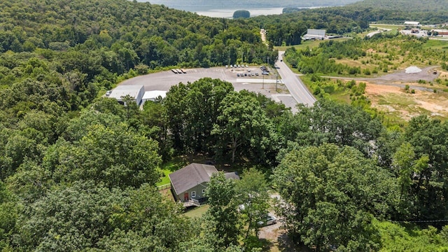 100 Anderson Ridge Rd, Jasper, TN 37347 - drone / aerial view of a forest