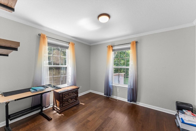 100 Anderson Ridge Rd, Jasper, TN 37347 - office area featuring dark wood finished floors, healthy amount of natural light, and ornamental molding