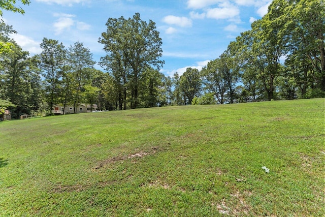 100 Anderson Ridge Rd, Jasper, TN 37347 - view of green lawn