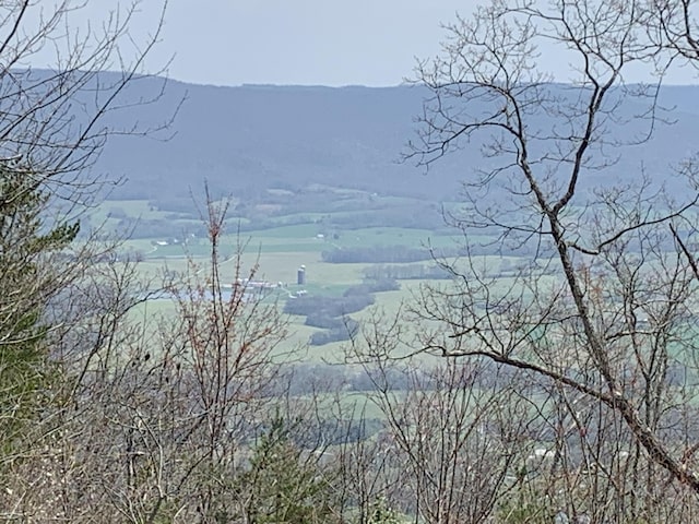 LOTS38AB Gray Rock Vw, Pikeville, TN 37367