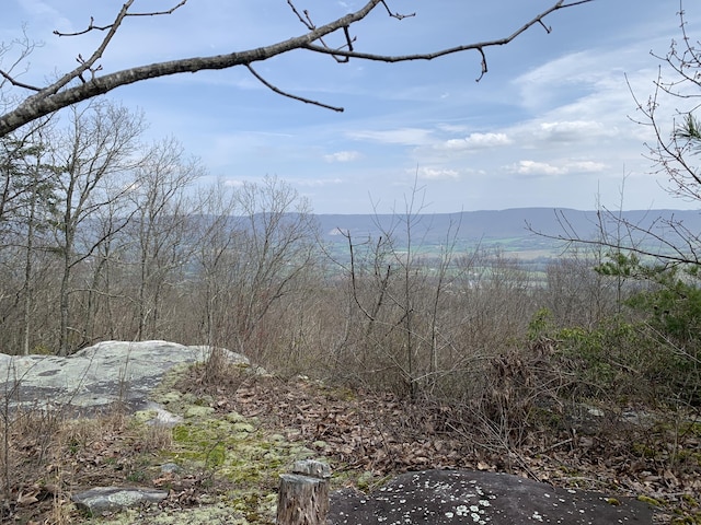 LOTS38AB Gray Rock Vw, Pikeville, TN 37367