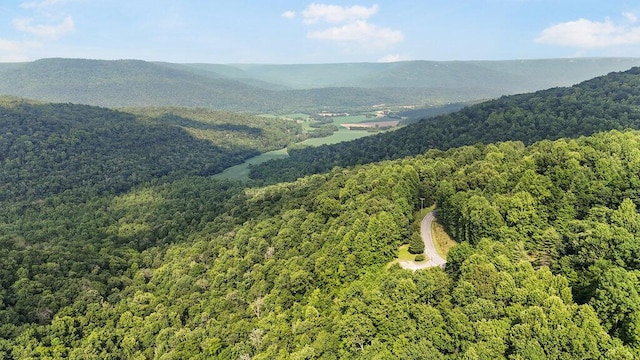 2875 Stagecoach Rd, Sewanee, TN 37375 - view of mountain background with a forest