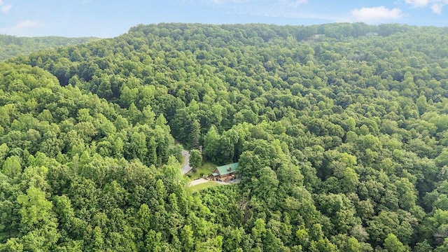 2875 Stagecoach Rd, Sewanee, TN 37375 - bird's eye view of a heavily wooded area