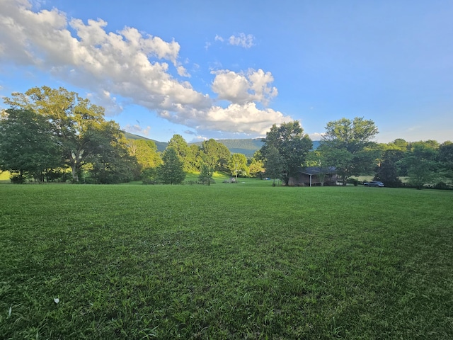 770 Jack Smith Rd Unit 15, Dunlap, TN 37327 - view of grassy yard