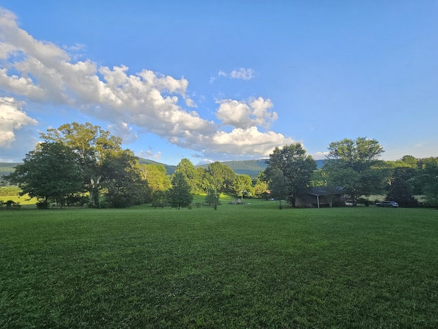 770 Jack Smith Rd Unit 15, Dunlap, TN 37327 - view of green lawn