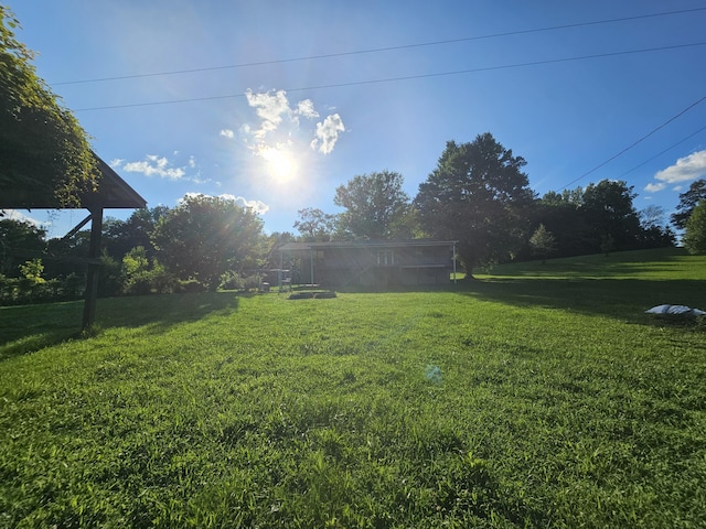 770 Jack Smith Rd Unit 15, Dunlap, TN 37327 - view of green lawn
