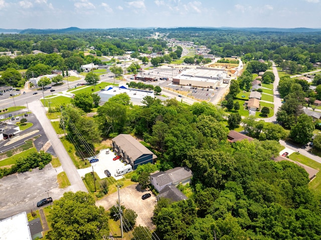 4406 Shelborne Dr, Chattanooga, TN 37416 - photo 4